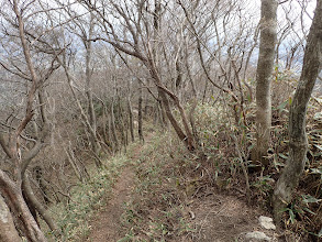 明確な尾根道に