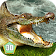 Simulateur de crocodile 3D icon