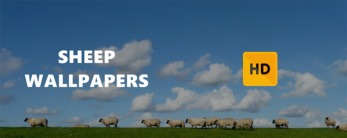 Sheep Wallpaper HD New Tab Theme marquee promo image