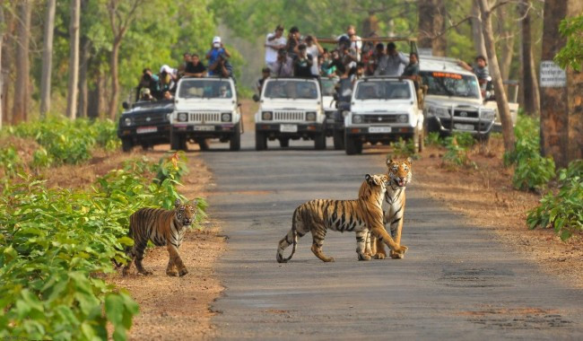 Kanha