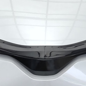 C-HR NGX10
