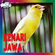 Download Master Kenari Jawara Jawa For PC Windows and Mac 1.0