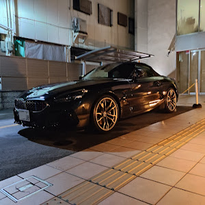 Z4 ロードスター G29