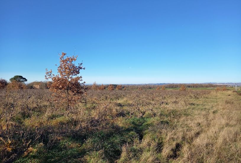  Vente Terrain à bâtir - 794m² à Gaillac (81600) 