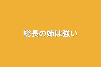 総長の姉は強い