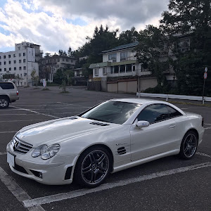 SL SL65