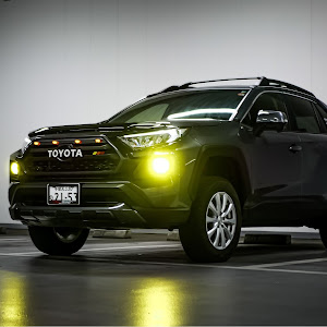 RAV4 MXAA54