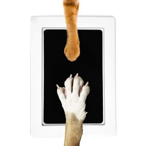 Cat Dog Paw Print Ink Kit Pad Safe Non-toxic Baby Footprints Newborn Shower Handprint Easy Diy Clean Touch Inkless Pet S