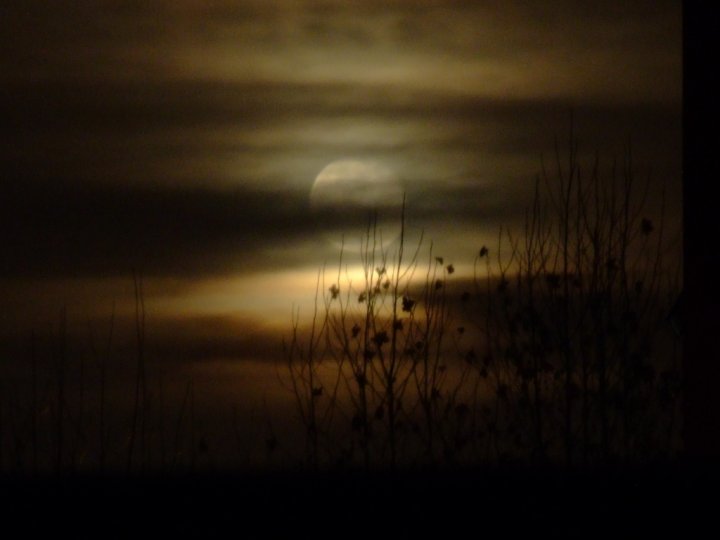 La Luna sbircia tra la nebbia di gianky