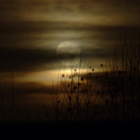 La Luna sbircia tra la nebbia di 