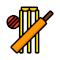 Item logo image for Cricket Updates