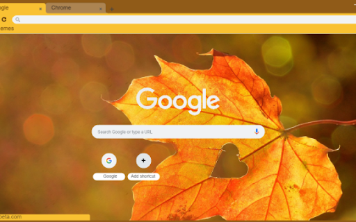 Autumn Maple Leaves Preview 1