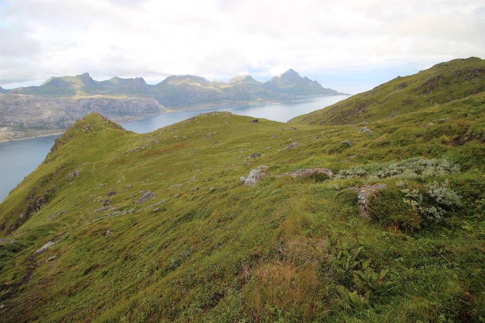 Каникулы троллей на островах Senja, Vesteralen и Lofoten в августе 2018