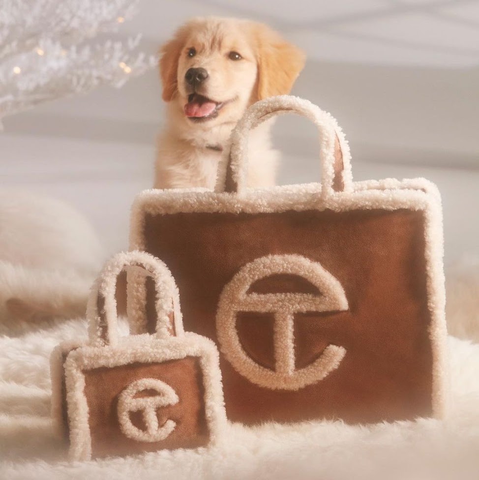 Louis Vuitton Dog In Handbag Accessories for sale