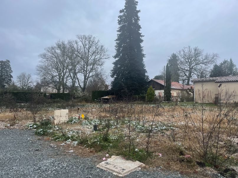 Vente terrain  300 m² à Belin-Béliet (33830), 99 000 €