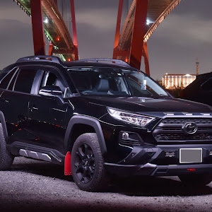RAV4 MXAA54