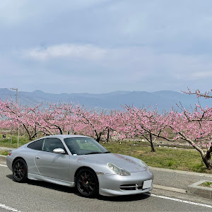 911 クーペ