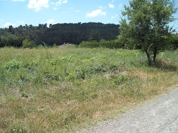 terrain à Villeneuve-Minervois (11)