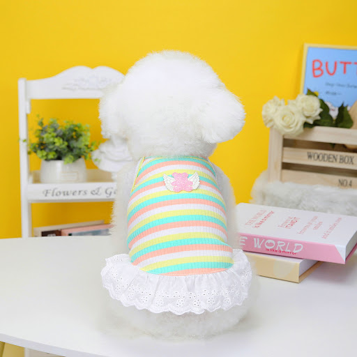 Title 3, Pet Clothing Dog Color Stripes Wings Skirt. Ado...