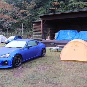 BRZ ZC6