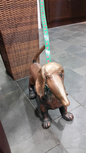 Little DACHSHUND 