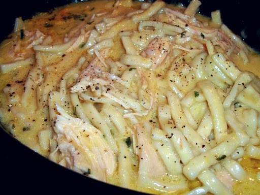Chicken and noodles close up with seasoning. 