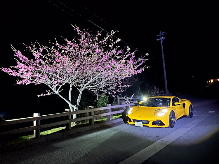 その他の夜桜ツーリング・走る会メンバー・八重岳桜祭りに関するカスタム事例の投稿画像6枚目