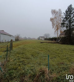 terrain à Pruniers-en-Sologne (41)