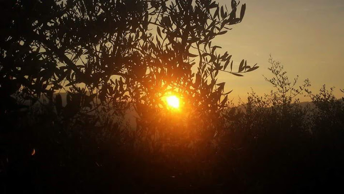 Il tramonto di Silvia Ortona