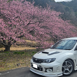 インプレッサ WRX STI GVF