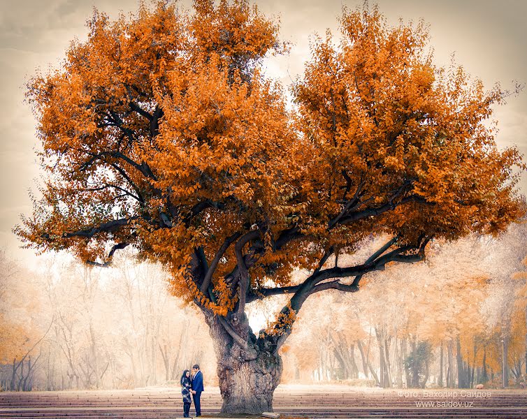 Fotografo di matrimoni Bakhodir Saidov (saidov). Foto del 4 dicembre 2015