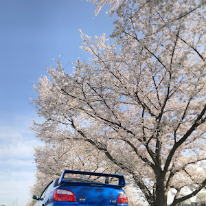 インプレッサ WRX STI GDB