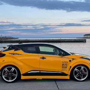 C-HR NGX10