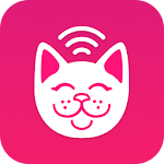 Parking Kitty Apk