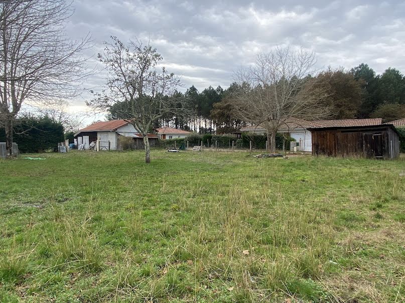 Vente terrain  606 m² à Pontenx-les-Forges (40200), 85 000 €