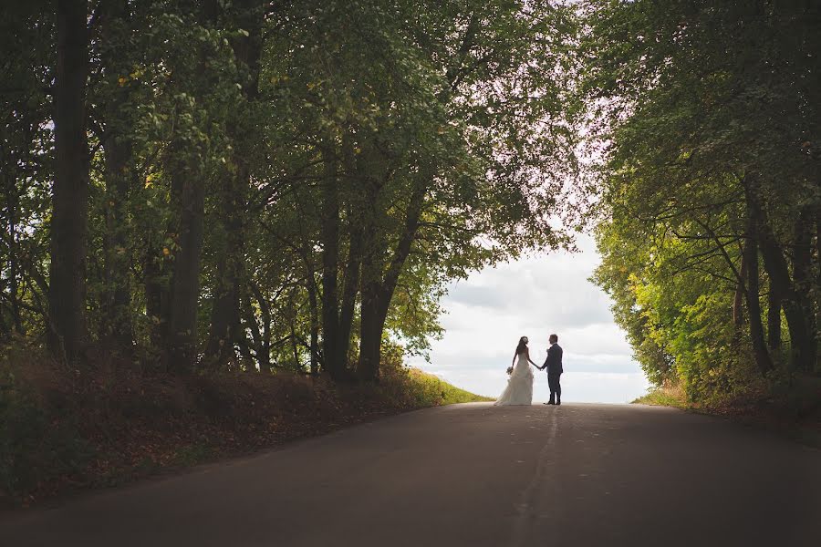 Fotografo di matrimoni Dmitriy Kiryuschenkov (needfotoru). Foto del 26 agosto 2016