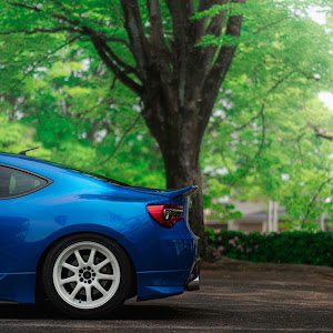 BRZ ZC6