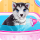 Husky Puppy Spa Salon Download on Windows