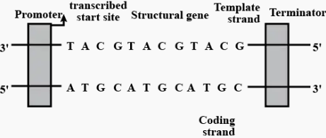 Solution Image