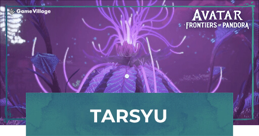 Tarsyu