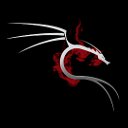 Linux Backtrack 1 by ShadowRising Chrome extension download