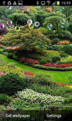 Garden Live wallpaper