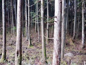 ここから山頂へ