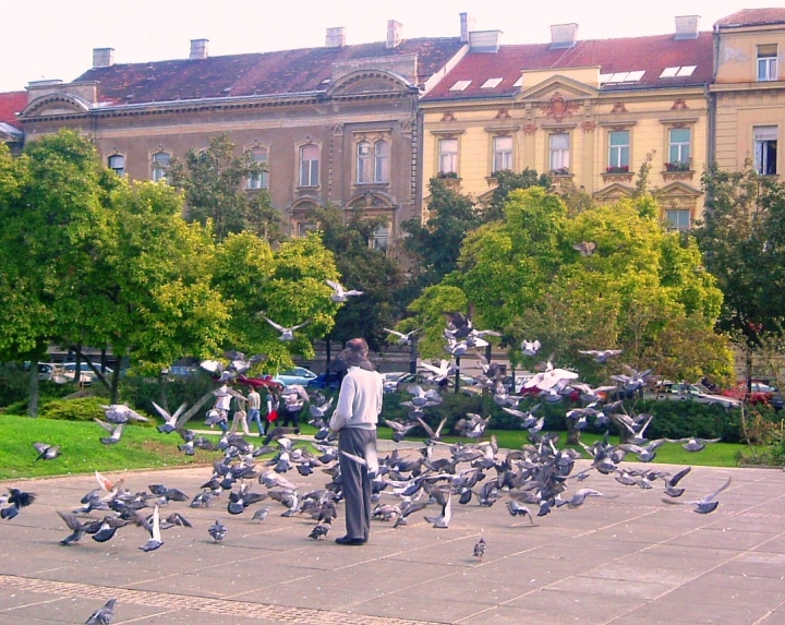 L'uomo dei piccioni di Serena72