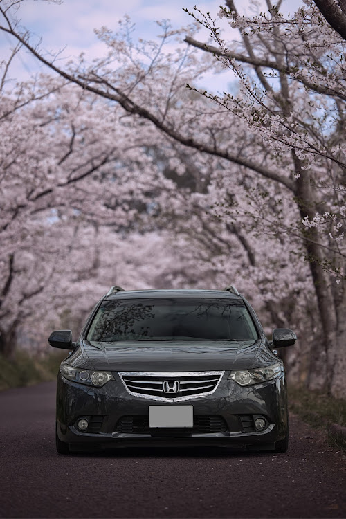 アコードツアラーのサクラと愛車・桜・ドライブに関するカスタム事例の投稿画像1枚目