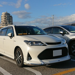 カローラフィールダー NKE165G