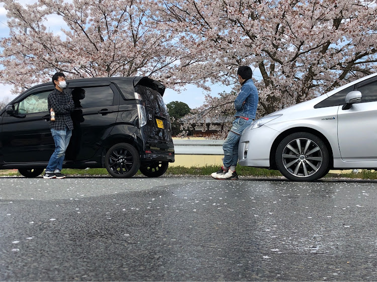 プリウスのコロナウイルスに負けるな・1人親方・久しぶりのコラボ・桜に関するカスタム事例の投稿画像6枚目