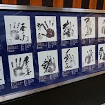 hand sizes of the sumo wrestlers in Tokyo, Japan 