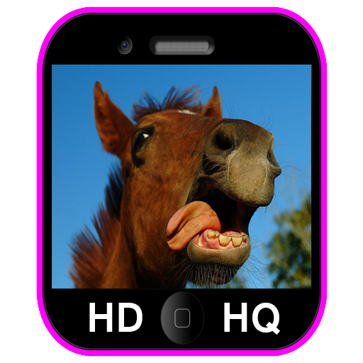 Horse Wallpaper 娛樂 App LOGO-APP開箱王