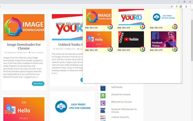 Image Downloader For Chrome